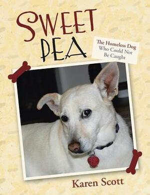 Sweet Pea: The Homeless Dog Who Could Not Be Caught by Karen Scott