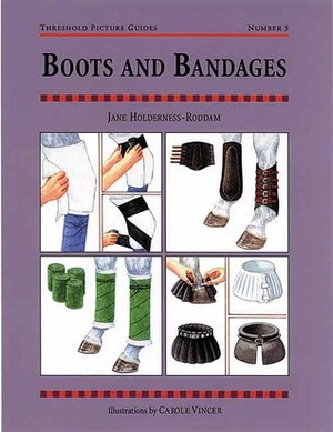 Boots and Bandages: Threshold Picture Guide No 3 by Jane Holderness-Roddam