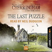 The Last Puzzle by Neil Richards, Matthew Costello