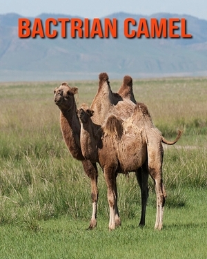 Bactrian Camel: Incredible Pictures and Fun Facts about Bactrian Camel by William Doyle