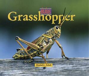 Grasshopper by Elizabeth J. Scholl, Lynn Kuntz