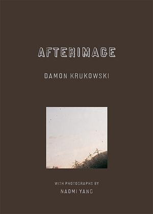 Afterimage by Damon Krukowski