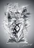 amie_whiteman's profile picture