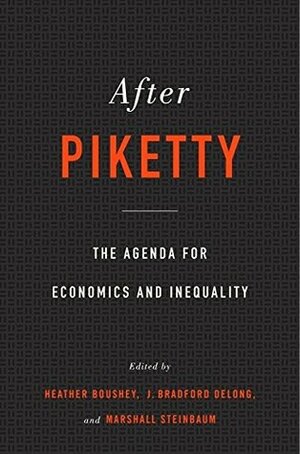 AFTER PIKETTY Hardcover Jan 01, 2017 NA by Heather Boushey