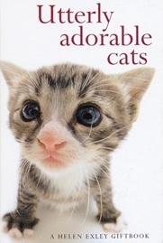 Utterly Adorable Cats by Yoneo Morita, Linda Macfarlane, Stuart Macfarlane