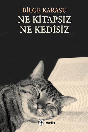 Ne Kitapsız, Ne Kedisiz by Bilge Karasu