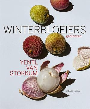Winterbloeiers by Yentl van Stokkum