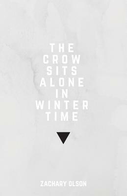 The crow sits alone in winter time by Zachary Olson