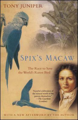 Spix's Macaw: The Race to Save the World's Rarest Bird by Tony Juniper