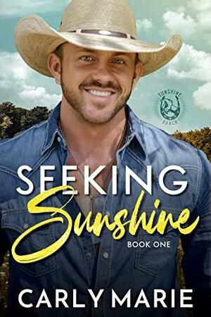 Seeking Sunshine by Carly Marie