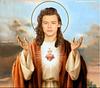 harrys_sunflower's profile picture