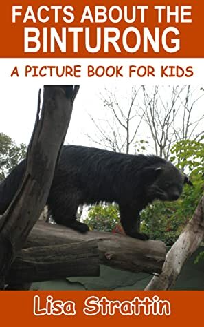 Facts About the Binturong by Lisa Strattin
