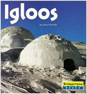 Igloos by June Preszler