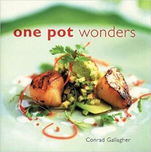 One Pot Wonders by Conrad Gallagher, Gus Filgate