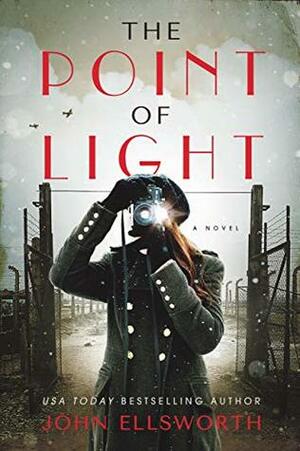 The Point of Light by John Ellsworth