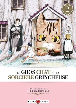 Le Gros chat et la sorcière grincheuse T2 by Hiro Kashiwaba