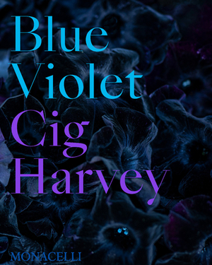 Blue Violet by Cig Harvey