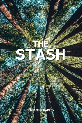 The Stash by Benjamin Bradley