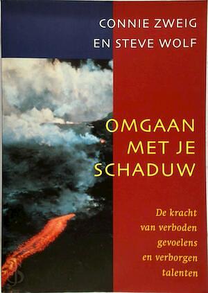 Omgaan Met Je Schaduw by Connie Zweig, Connie Zweig, Steve Wolf