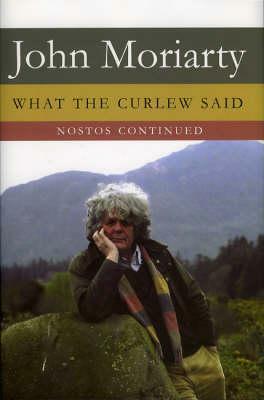 What The Curlew Said: Nostos Continued by John Moriarty