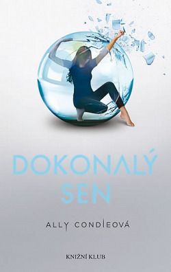 Dokonalý sen by Ally Condie