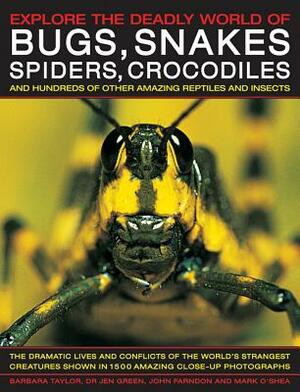 Explore the Deadly World of Bugs, Snakes, Spiders & Crocodiles: The Dramatic Lives and Conflicts of the World's Strangest Creatures Shown in 1500 Amaz by Jen Green, Barbara Taylor, John Farndon