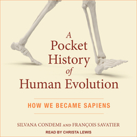 A Pocket History of Human Evolution: How We Became Sapiens by François Savatier, Silvana Condemi