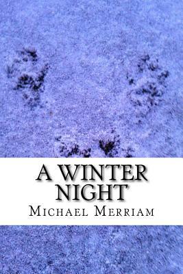 A Winter Night by Michael Merriam