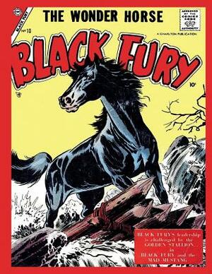 Black Fury # 10 by Charlton Comics Group