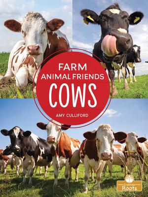 Cows by Amy Culliford