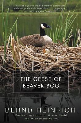 The Geese of Beaver Bog by Bernd Heinrich