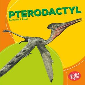 Pterodactyl by Harold Rober