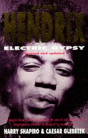 Jimi Hendrix Electric Gypsy by Harry Shapiro