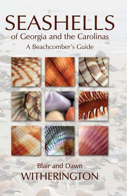 Seashells of Georgia and the Carolinas: A Beachcomber's Guide by Dawn Witherington, Blair Witherington