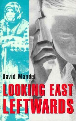 Looking East Leftwards by David Mandel