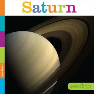 Saturn by Kate Riggs