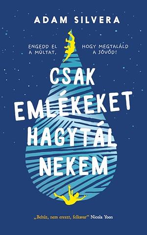 Csak emlékeket hagytál nekem by Adam Silvera