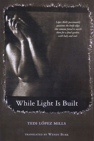 While Light Is Built by Wendy Burk, Tedi López Mills