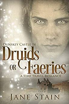 Druids or Faeries: A Time Travel Romance by Jane Stain