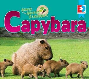 Animals of the Amazon Rainforest: Capybara by Katie Gillespie