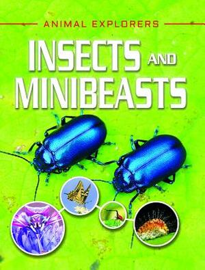 Insects and Minibeasts by Clare Hibbert