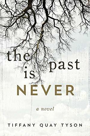 The Past Is Never: A Novel by Tiffany Quay Tyson, Tiffany Quay Tyson