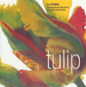 Tulip by Liz Dobbs, Clay Perry, Cees Breed