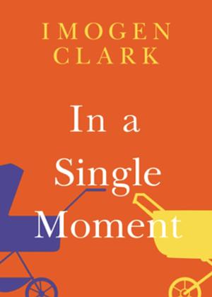 In a Single Moment by Imogen Clark