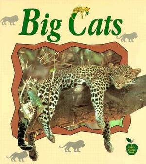 Big Cats by Bobbie Everts Kalman