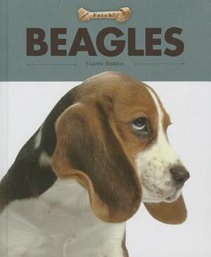 Beagles by Valerie Bodden