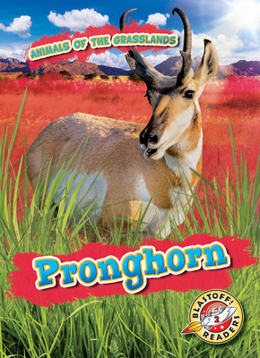 Pronghorn by Kaitlyn Duling