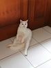 aitu20's profile picture