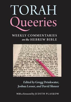 Torah Queeries: Weekly Commentaries on the Hebrew Bible by Gregg Drinkwater, Joshua Lesser, David Shneer, Judith Plaskow