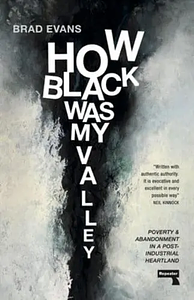 How Black Was My Valley: Poverty and Abandonment in a Post-Industrial Heartland by Brad Evans